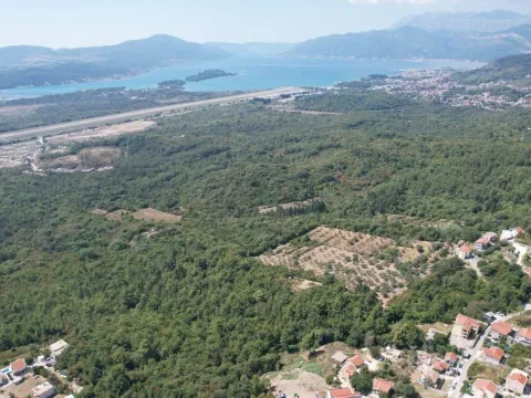 Sale, land lot, 7700m², Kavač, Kotor - image 14