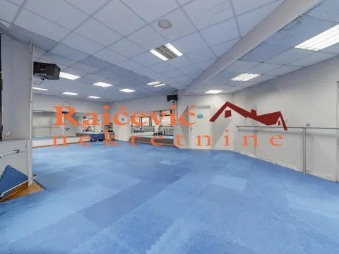 Prodaja, poslovni prostor, 273m², Banovo Brdo, Beograd - image 3