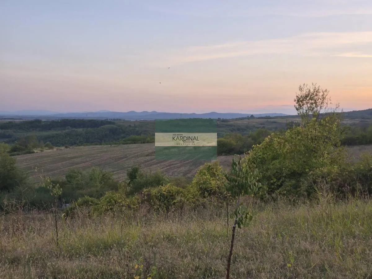 Prodaja, plac, 27920m², Siokovac, Jagodina