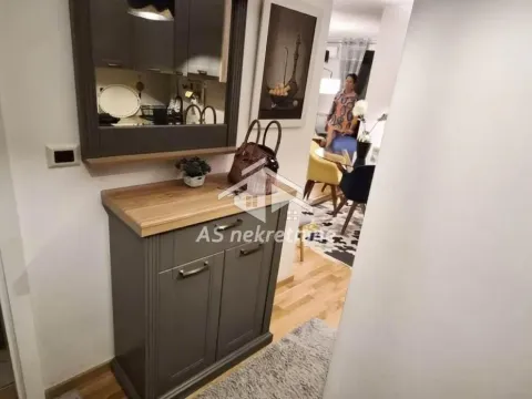 Rent, two bedroom apartment, 48m², Južni Bulevar, Vračar Sve Podlokacije - image 13