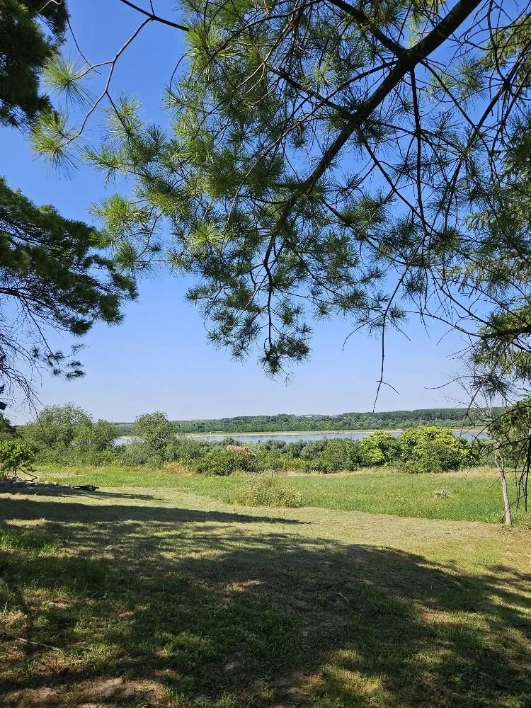 Sale, land lot, 5000m², Stari Slankamen, Inđija