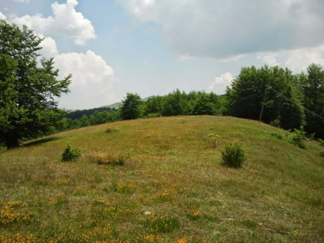 Prodaja, plac, 7831m², Malinsko, Šavnik