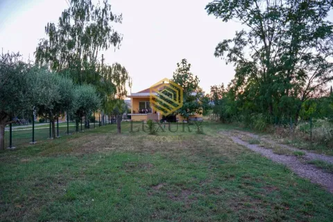 Rent, house, 160m², Zeta, Podgorica - image 3