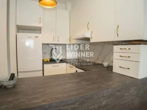 Izdavanje, dvosoban stan, 50m², Voždovac Sve Podlokacije, Beograd - image 6