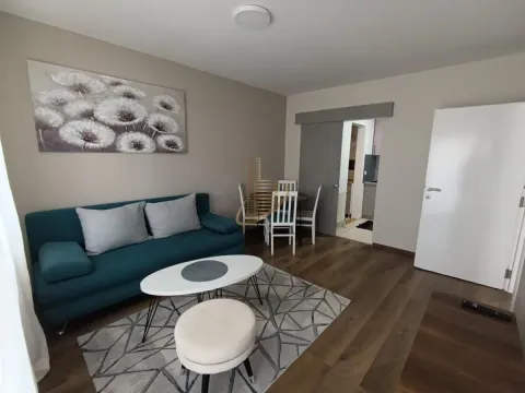 Izdavanje, jednosoban stan, 45m², Podbara, Novi Sad Sve Podlokacije - image 4