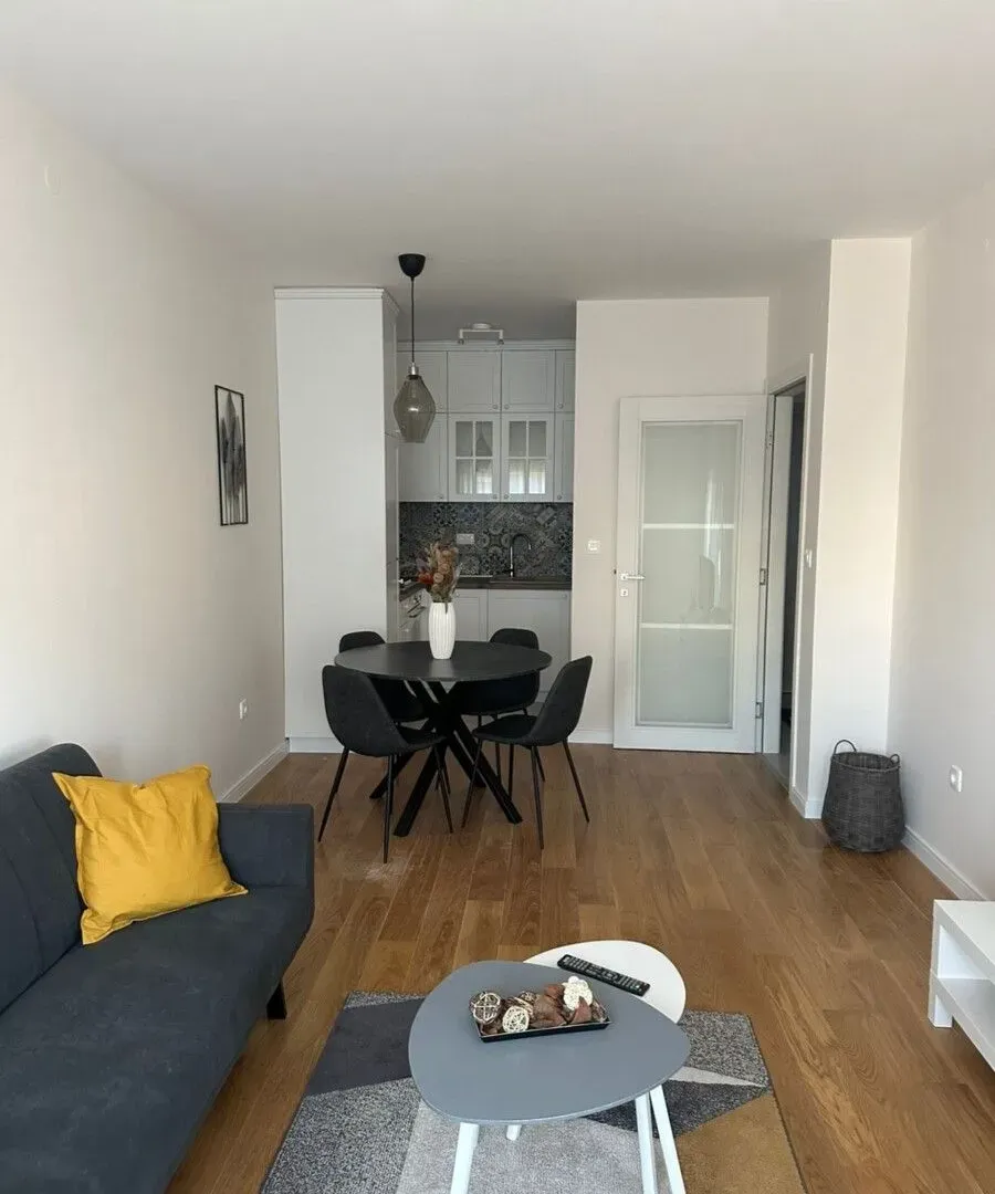 Izdavanje, jednosoban stan, 47m², Central Point, Podgorica