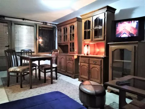 Izdavanje, dvosoban stan, 35m², Palilula, Niš - image 1