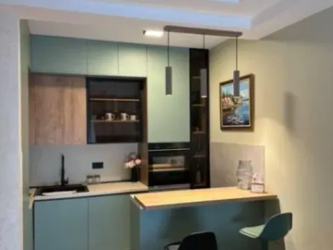 Izdavanje, jednosoban stan, 42m², Zagorič, Podgorica - image 4