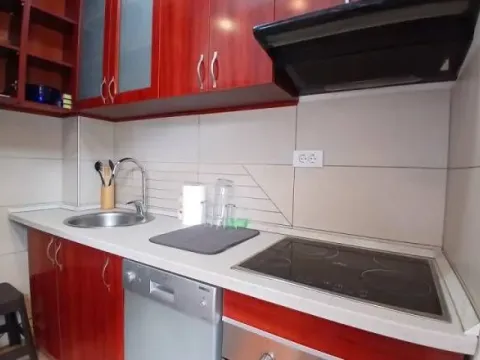 Rent, two bedroom apartment, 42m², Vukov Spomenik, Zvezdara Sve Podlokacije - image 7