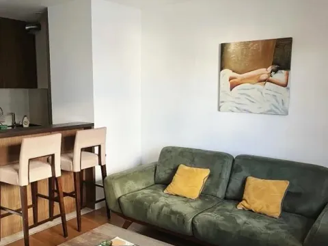 Stan in Južni Bulevar