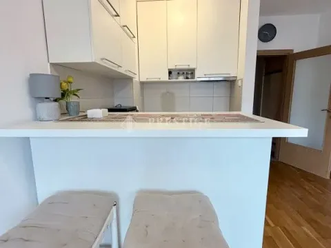 Rent, studio apartment, 30m², Tuški Put, Podgorica - image 4
