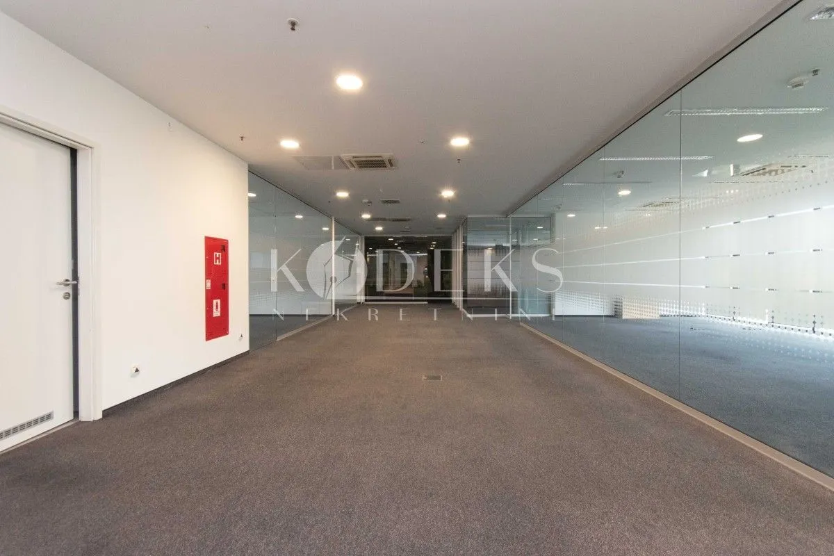 Izdavanje, poslovni prostor, 318m², Preko Morače, Podgorica