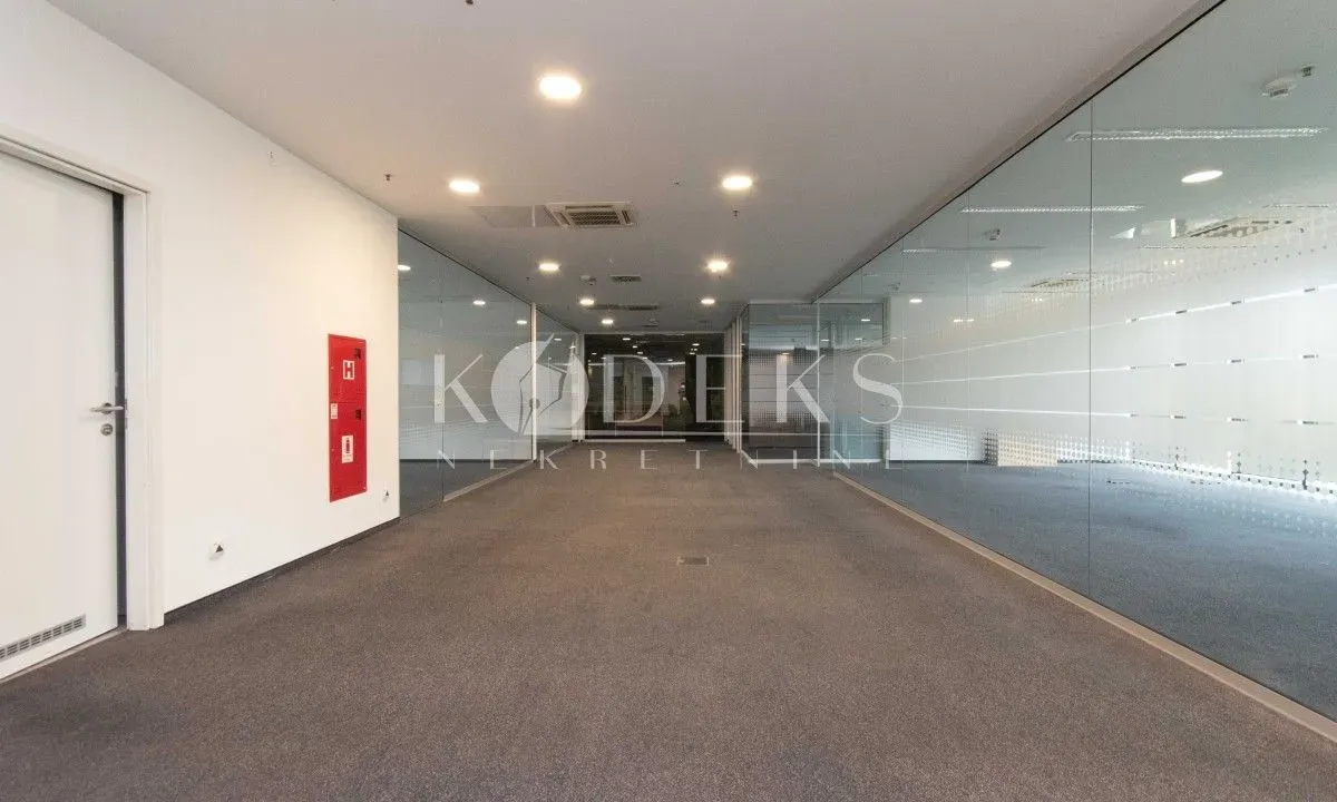 Izdavanje, poslovni prostor, 318m², Preko Morače, Podgorica