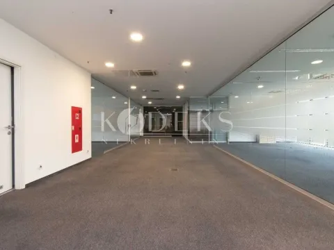 Izdavanje, poslovni prostor, 318m², Preko Morače, Podgorica