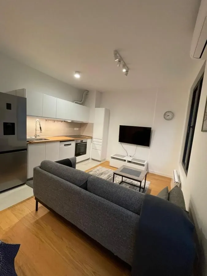 Izdavanje, dvosoban stan, 40m², Stari Grad, Beograd