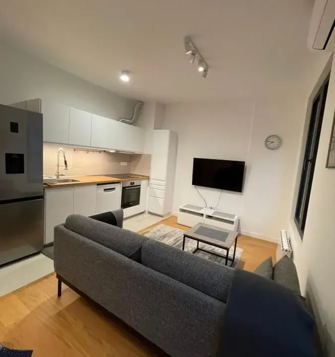 Izdavanje, dvosoban stan, 40m², Stari Grad, Beograd