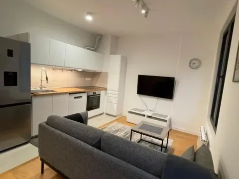 Izdavanje, dvosoban stan, 40m², Stari Grad, Beograd