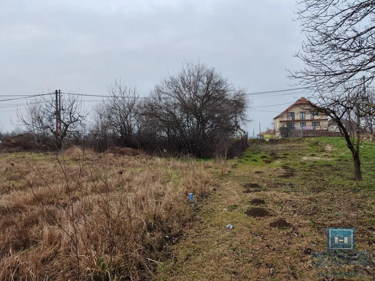 Prodaja, plac, 499m², Trnava, Jagodina