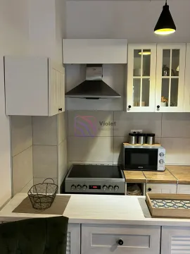 Pogled na dio kuhinje sa štednjakom, kuhinjskim elementima i radnom površinom. - image 13