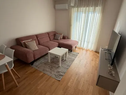 Rent, one bedroom apartment, 39m², Zabjelo, Podgorica - image 1