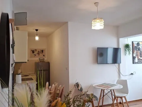 Prodaja, jednosoban stan, 33m², Rozino, Budva - image 3
