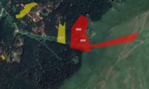 Prodaja, plac, 12800m², Babin Zub, Knjaževac - image 4