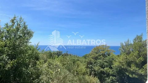 Pogled na more i zelenilo sa nekretnine. - image 2