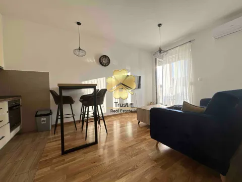 Izdavanje, jednosoban stan, 40m², Zabjelo, Podgorica - image 2