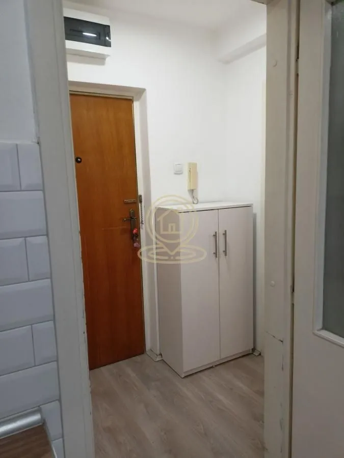 Izdavanje, jednosoban stan, 30m², Banatić, Novi Sad Sve Podlokacije