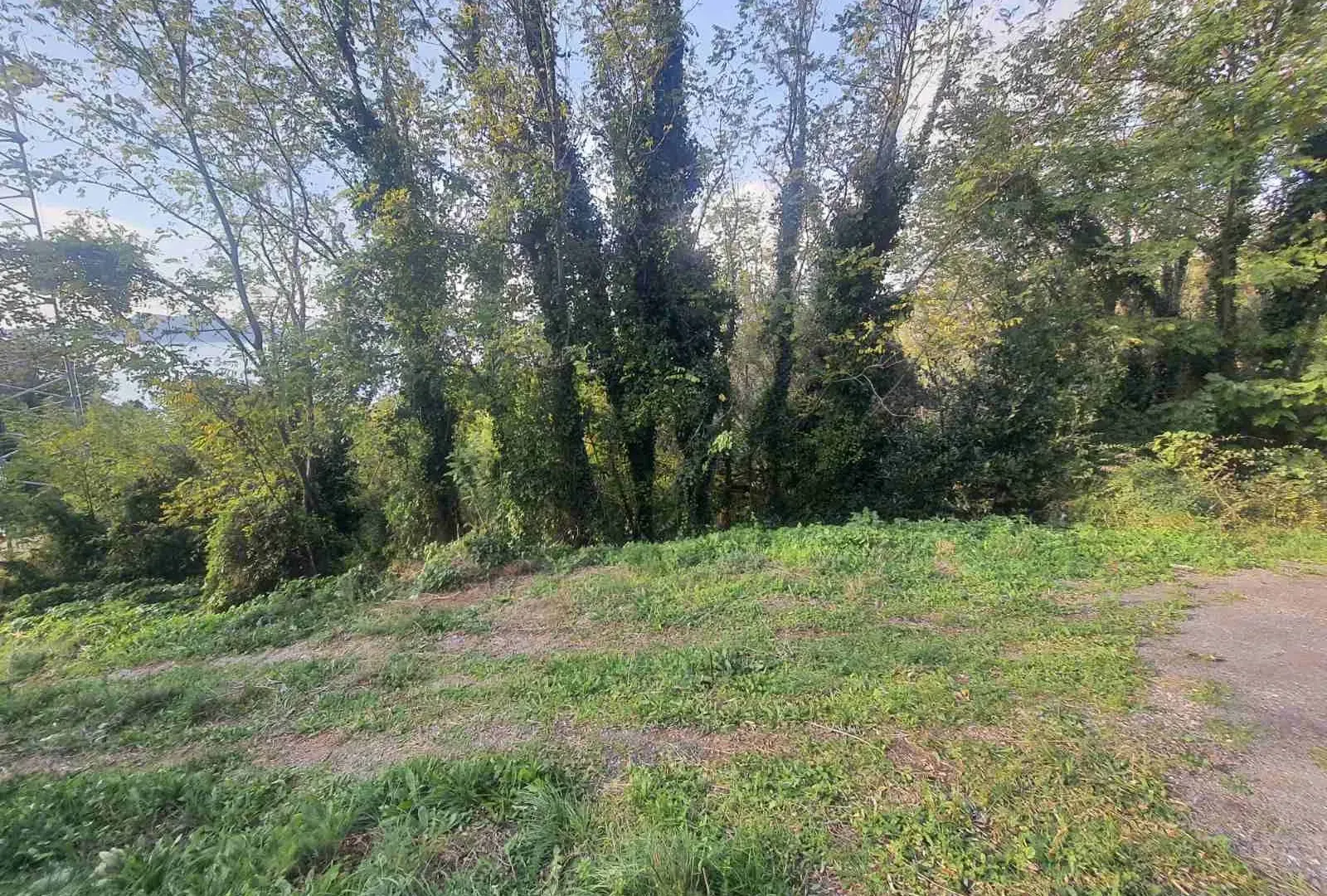 Prodaja, plac, 6286m², Sveti Stefan, Budva