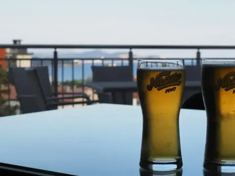 Izdavanje, ugostiteljski objekat, 120m², Dobre Vode, Bar - image 4