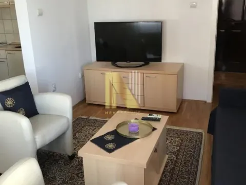 Izdavanje, dvosoban stan, 49m², Centar, Novi Sad - image 2