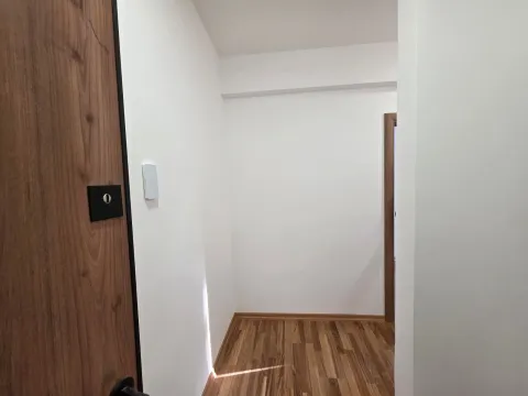 Prodaja, jednosoban stan, 43m², Budva, Crna Gora - image 11