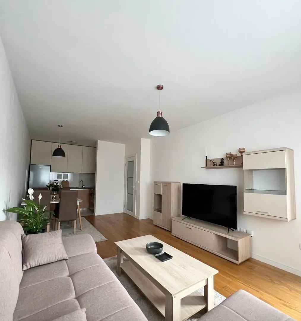 Izdavanje, jednosoban stan, 49m², Central Point, Podgorica