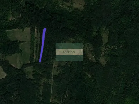 Prodaja, plac, 6367m², Beočić, Rekovac - image 7