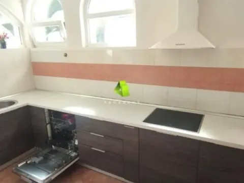 Izdavanje, kuća, 400m², Pantelej, Niš - image 10