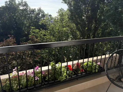 Prodaja, jednosoban stan, 70m², Novi Sad, Srbija - image 11