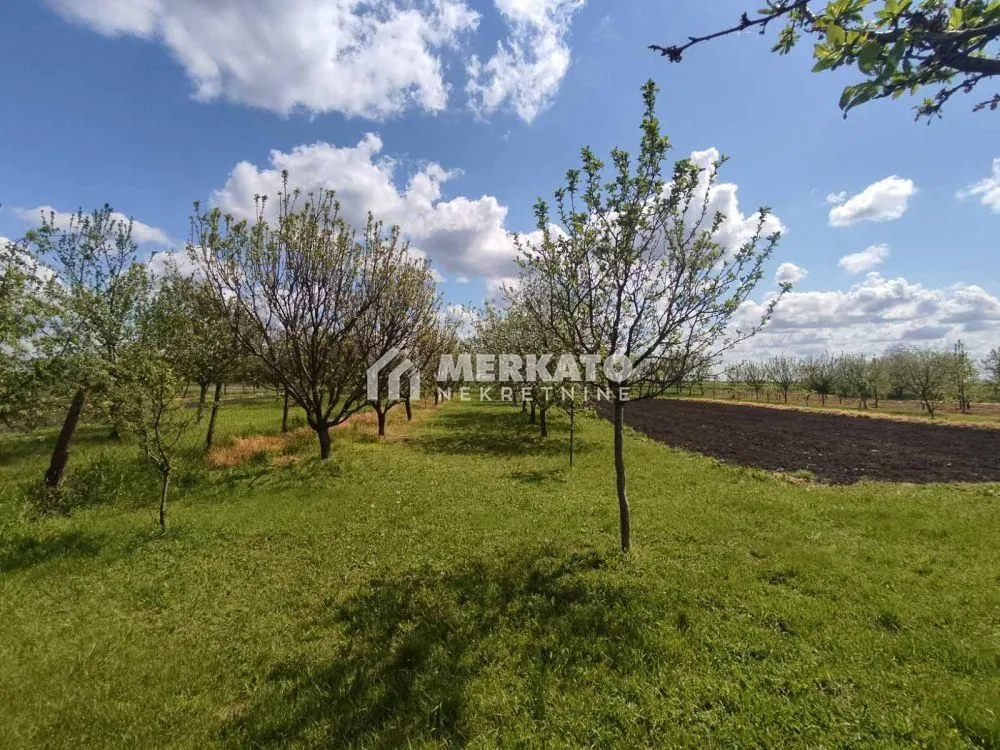 Prodaja, kuća, 126m², Žitište, Zrenjanin