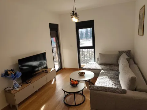 Rent, one bedroom apartment, 46m², New City, Podgorica - image 2