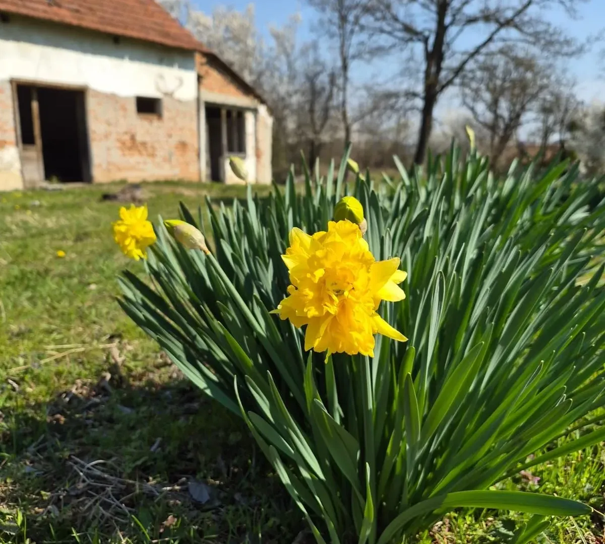 Sale, house, 72m², Centar, Valjevo