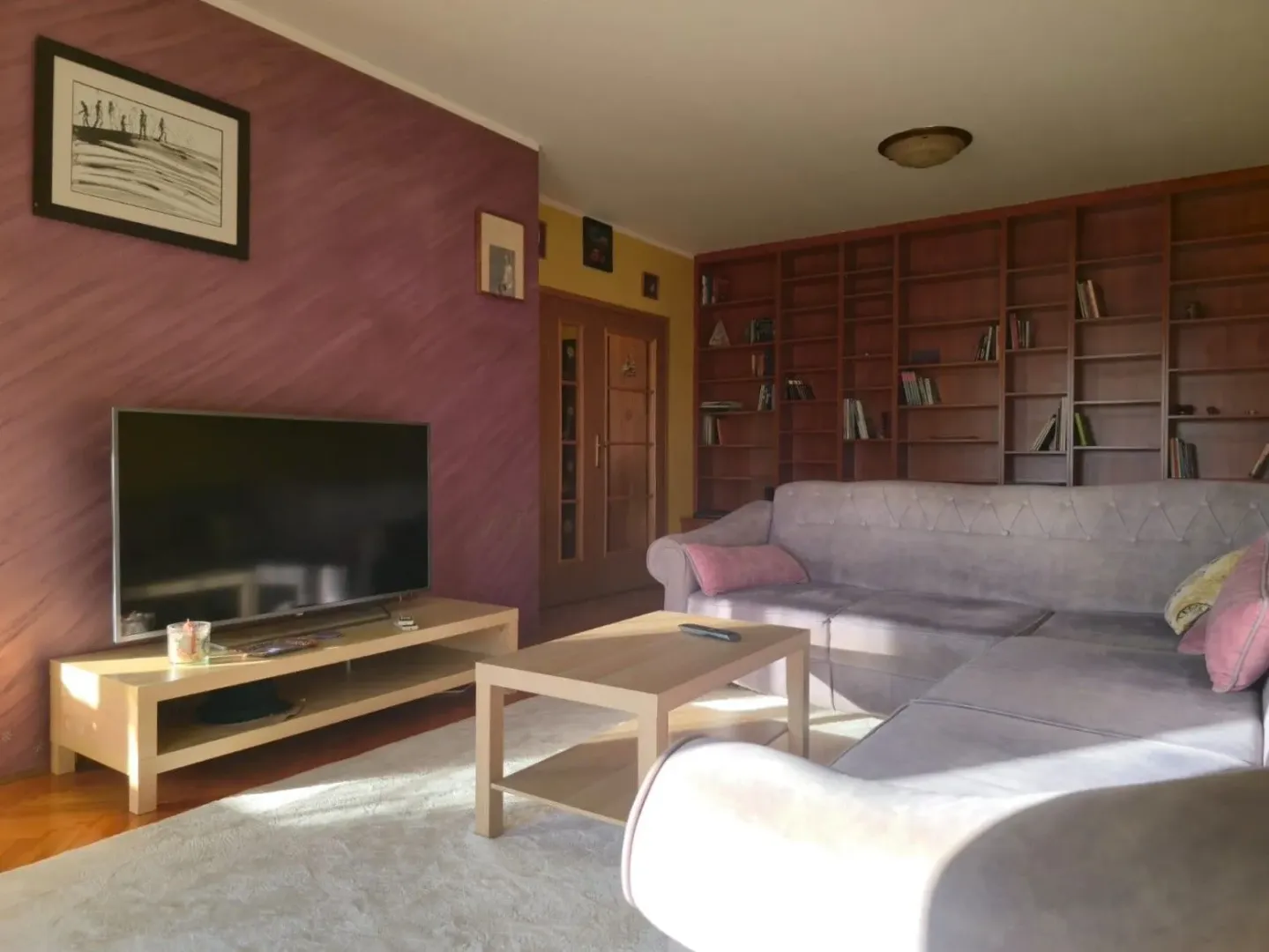 Living room with a sofa, TV, and large wall bookcase.