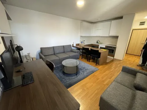 Prodaja, jednosoban stan, 42m², Nova Detelinara, Novi Sad Sve Podlokacije - image 4