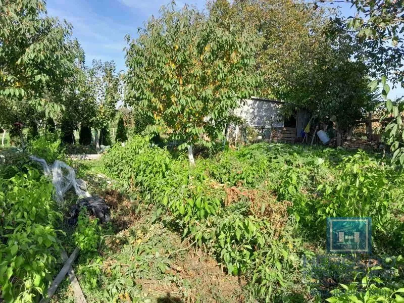 Prodaja, plac, 1331m², Kupusara, Jagodina