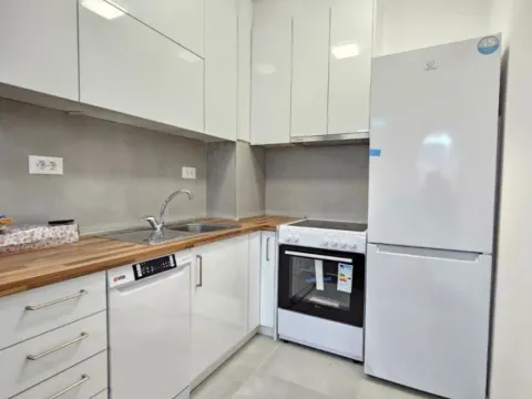 Izdavanje, jednosoban stan, 47m², Stari Aerodrom, Podgorica - image 3