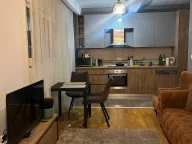 Izdavanje, jednosoban stan, 49m², Stari Aerodrom, Podgorica - image 2