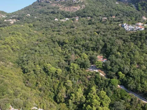 Sale, land lot, 4659m², Budva, Crna Gora - image 9