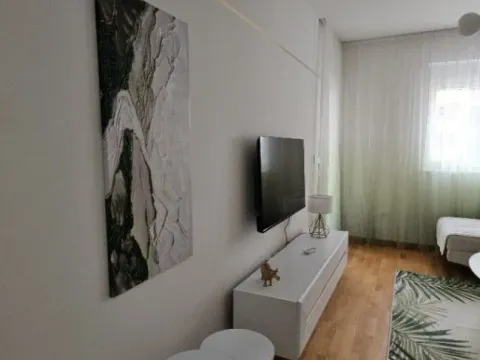 Izdavanje, jednosoban stan, 45m², Stari Aerodrom, Podgorica - image 10