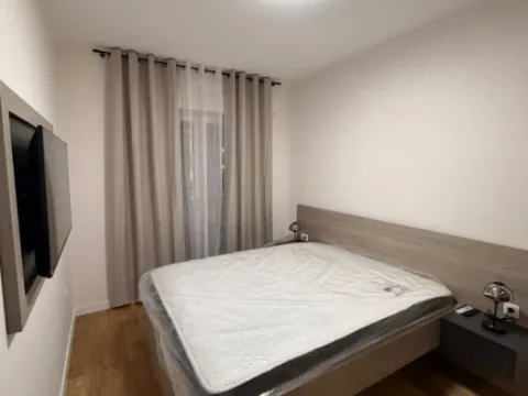 Izdavanje, jednosoban stan, 47m², Central Point, Podgorica - image 2