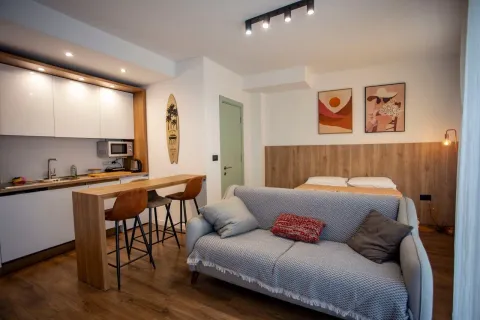 Modern studio apartment with a sofa, bar counter, and kitchen. - image 6