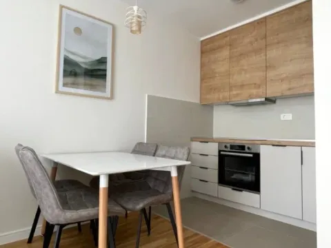 Izdavanje, jednosoban stan, 40m², Pobrežje, Podgorica - image 3